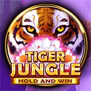 Baccarat trực tuyến với bàn chơi sang trọng
