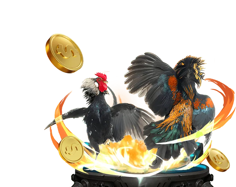 Cá cược bóng rổ NBA